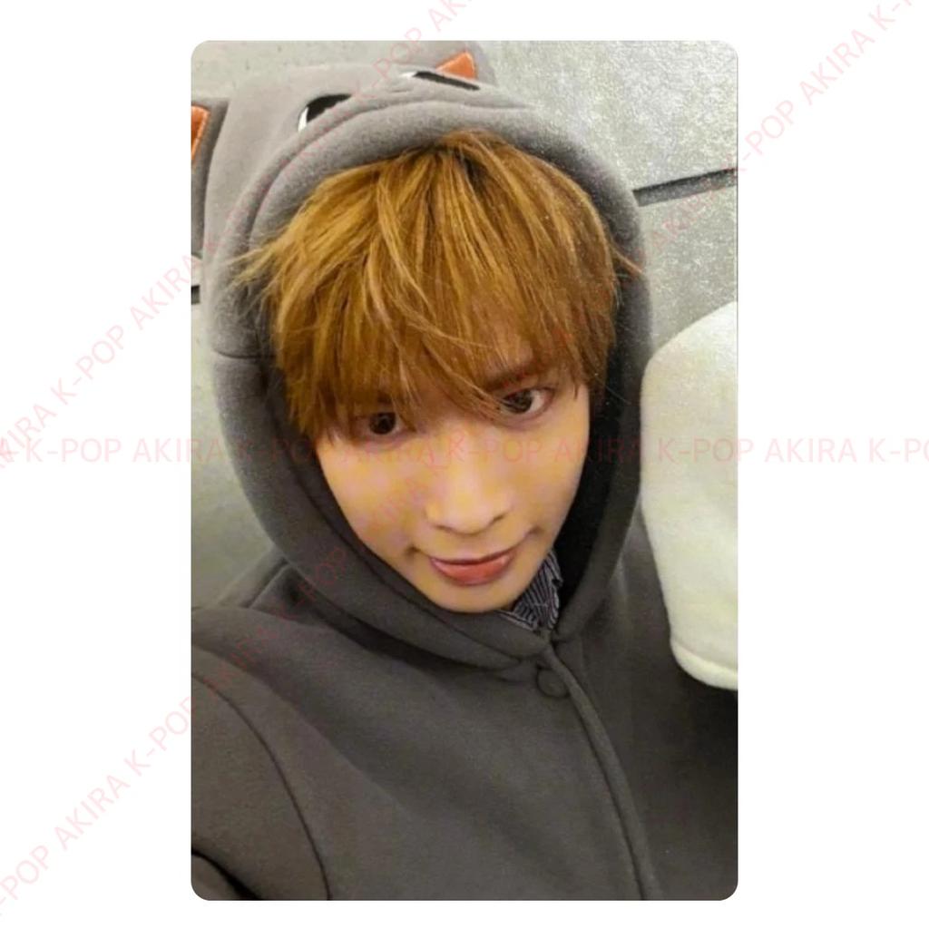 PRE-COMANDĂ TXT ANIVERSARUL 7: Un Moment de Liniște în Spini POB LD FOTOCARTĂ OFICIALĂ