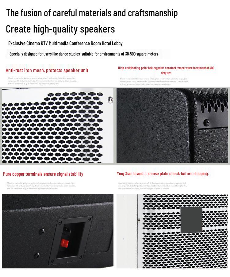 Ying Xian Dan Professional Wall-Mounted Speaker for Conference Rooms, KTV, Dance, School, or Hotel (8/10/12/15 Inch).