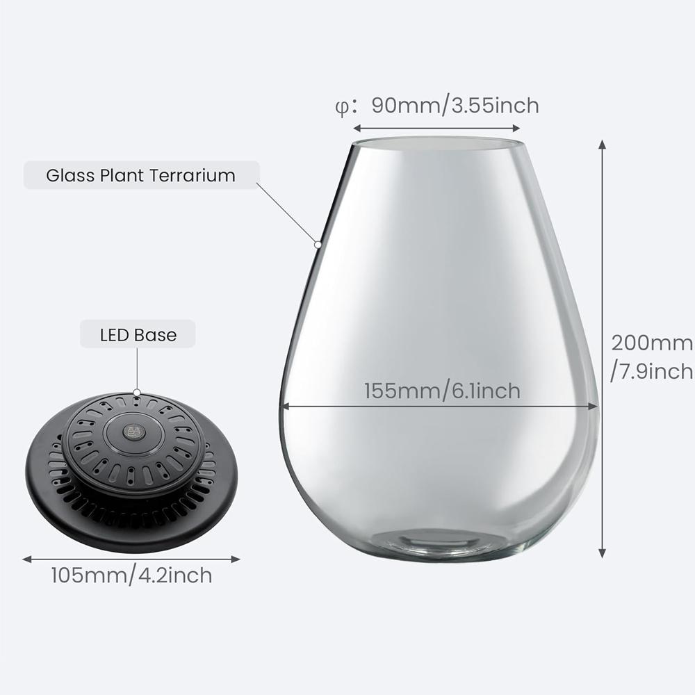 Terrario Piante in Vetro con Luce LED per la Crescita Terrario in Vetro Borosilicato con Ventilazione Regolabile e Timer, per Pianta Carnivora, Muschio