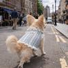 Thin Fabric Pet Mesh Vest Bow Design Pet Princess Dress Dog Two Leg Hoodie  Outdoor Walking