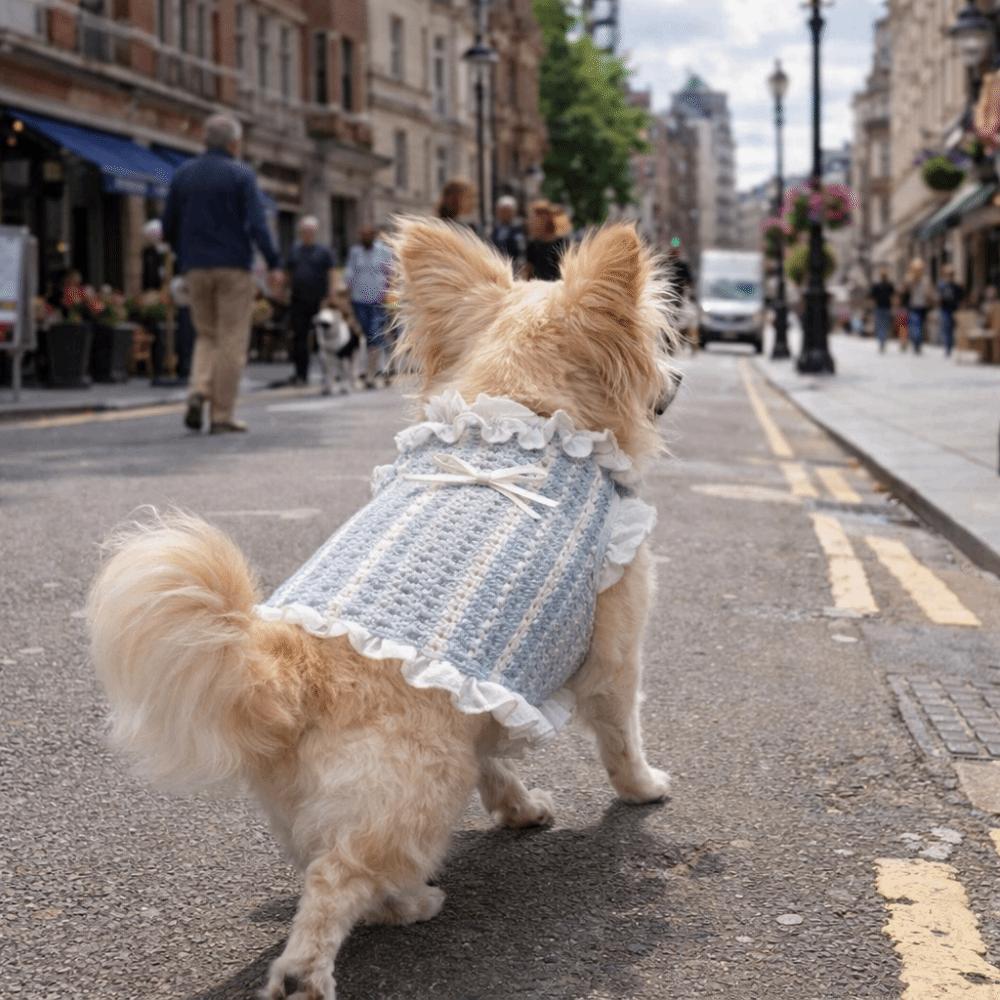 Thin Fabric Pet Mesh Vest Bow Design Pet Princess Dress Dog Two Leg Hoodie  Outdoor Walking