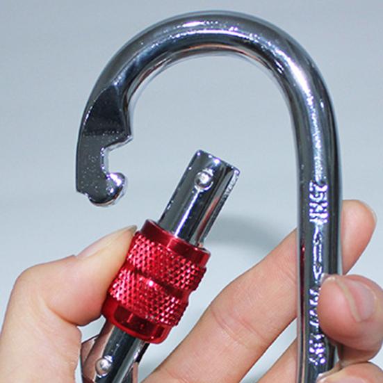 2Pcs Alloy Steel Carabiner Clip Heavy Duty Outdoor Climbing Safety Main Buckle 25KN Elliptical Mountaineering Buckle for Camping Hiking