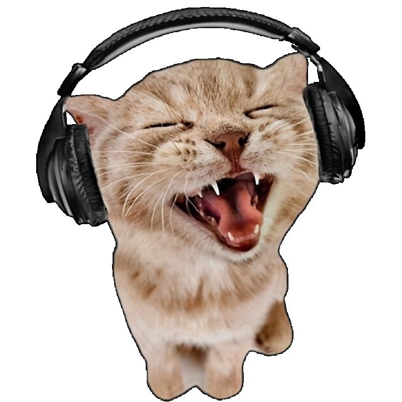 Women Casual Loose T Shirt Black Cat With Headphones Singing Music Print Summer Everyday Wear