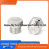 Stainless Steel Hex Nipple Hex Plug Oil Pipe Screw Plug (Male Thread, 304)