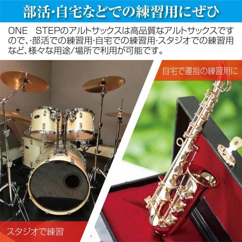 11-Piece Alto Saxophone Set in E Gold Lacquer with Case and Engraving, Beginner's Saxophone Set