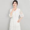 Mulberry Silk Embroidered Midi Dress