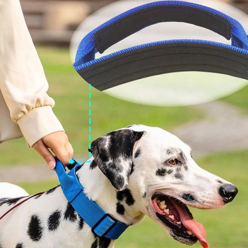 Best Quality Adjustable Nylon Tactical Dog Collar With Control Heavy Metal Buckle For Medium And Large Pet Dogs,Dog Accessories