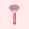 Pet Comb Cleaning Cat Comb Massage To Remove Floating Hair One-click Fading Stainless Steel Needle Opening Knot Cat Hair Removal Comb