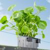 Hanging Fishtanks Plant Holder Fishtanks Plant Cultivation Holder Hydroponic Plant Support Aquariums Planting Tool 2PCS