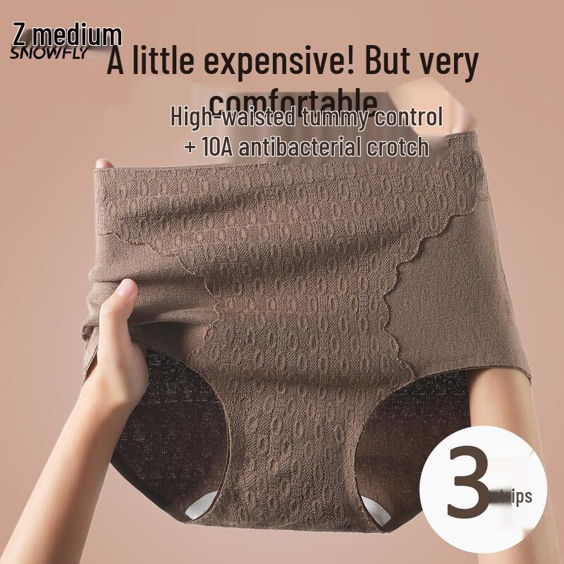 SNOWFLYING Women s High-Waist Cotton Briefs 3-Pack 2XL