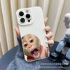 Capas para telemóveis – Para-choques para smartphones