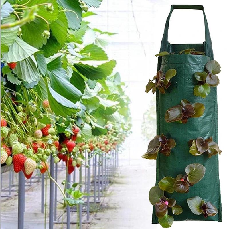 Hanging Plant Grow Bag Strawberry Flower Vertical Grow Bag Garden Plant Container Pe Seedling Nursery Bag Planter Accessories