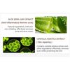 VIBRANT GLAMOUR Crocodile Repair Cream Acne Gel Fades Acne Marks Brightens and Moisturizes for Skin Care