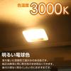 CARMATE GIGA Car LED Room Compatible with and G14 12 Bright Warm 1 BW264 Lamp, T10, T8x29, T10x31, Bulbs, 3000K, 500lm, Wide-Range Beam, LEDs, White,