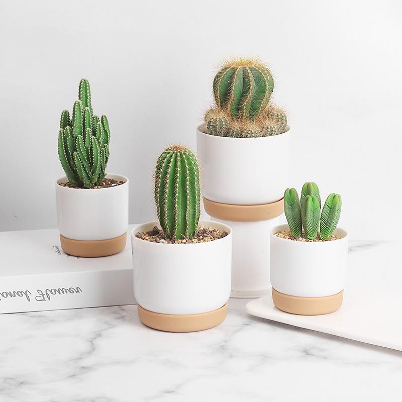 Automatic Water-Absorbing Lazy Ceramic-Like Plastic Flower Pot Round Double-Layer Succulent Green Radish Green Plant Special Pot
