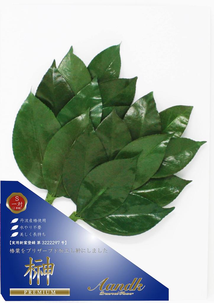 Japanese-made, never-withering preserved sakaki tree (1 pair)