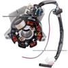 CG 125/150CC Off-road Motorcycle ATV Beach Buggy Coil Magneto Stator 7.5 Level