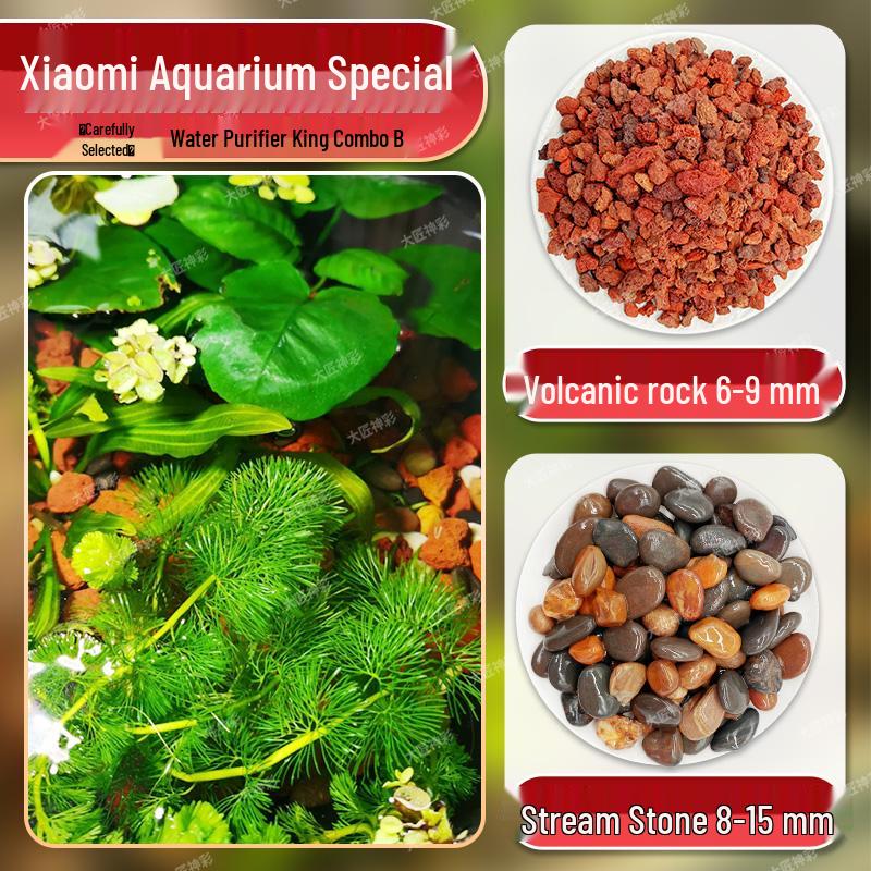 Lava Rock Stream Stone Set for Aquarium Substrate & Decoration