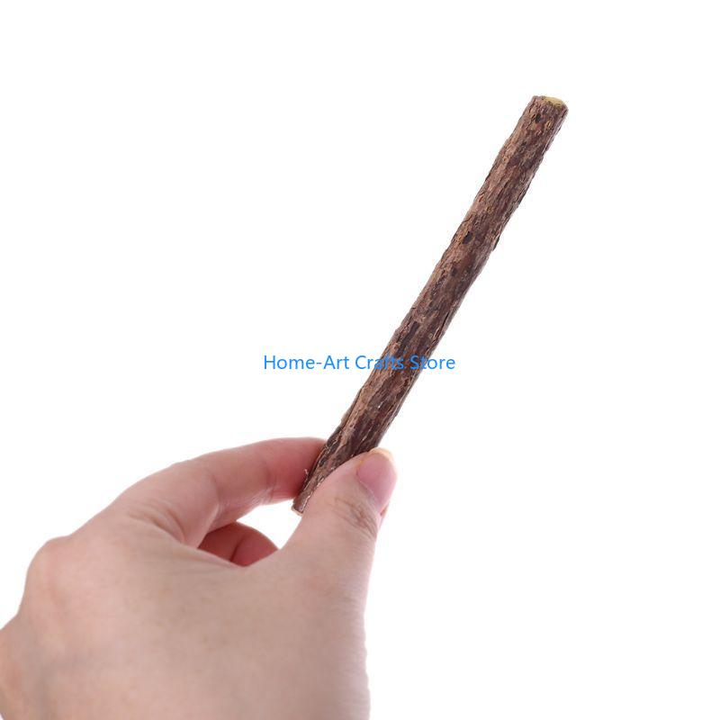 Y3NA Natural Silvervine Sticks for Cats, Catnip Sticks Matatabi Chew Sticks Teeth