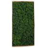 Preserved Moss Gardenning Art Wall Decor Moss Bulk Micro Landscape Decorative Props