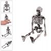 Mini Skeleton 15cm Realistic Decoration For Halloween Parties And Haunted Houses