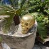 Horror Simulation Skull Head Halloween Prop Decoration Ghost House Bar Chamber Atmosphere Ornament