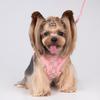 Pet Dog Chest Anti-stranglehold Traction Rope Adjustable Set