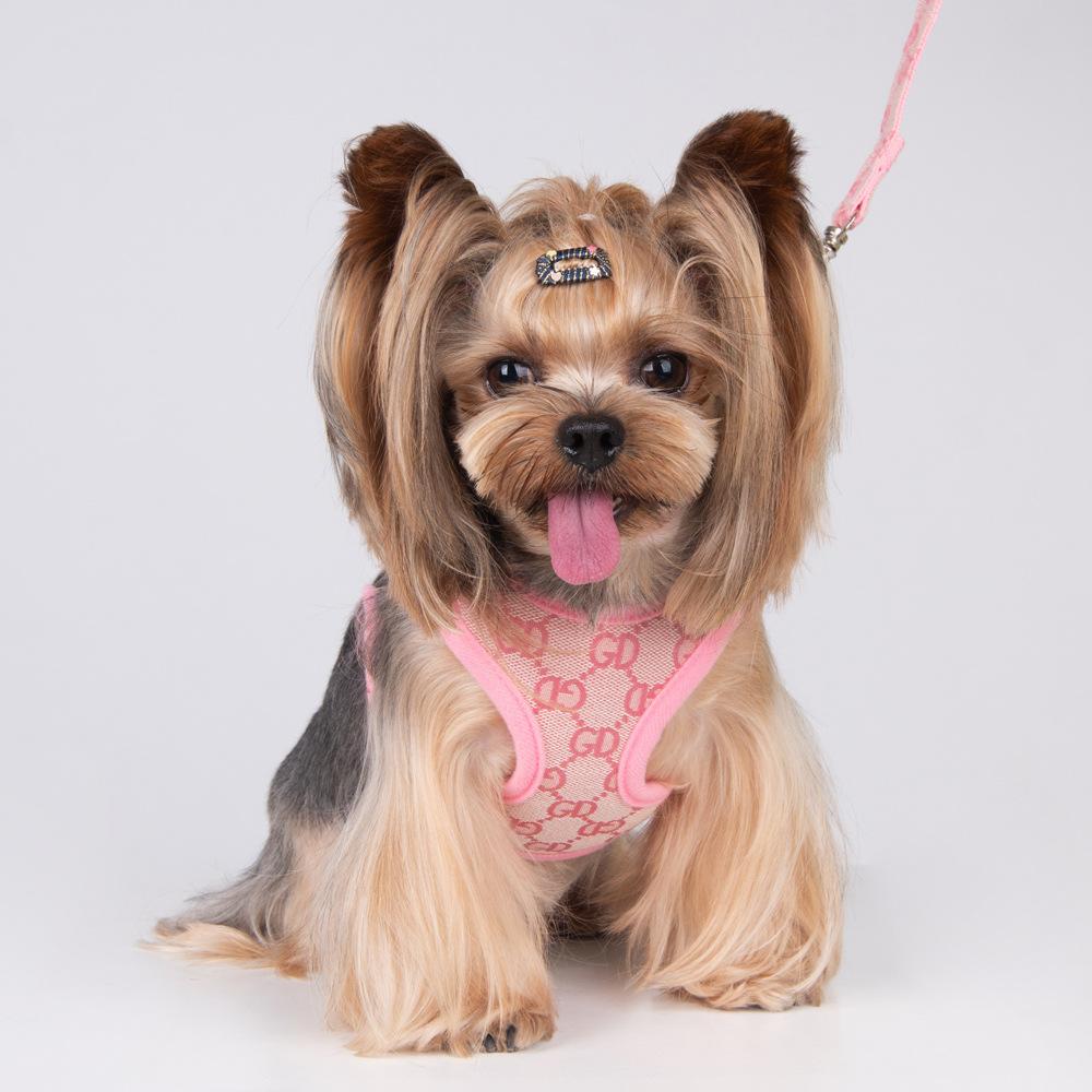Pet Dog Chest Anti-stranglehold Traction Rope Adjustable Set