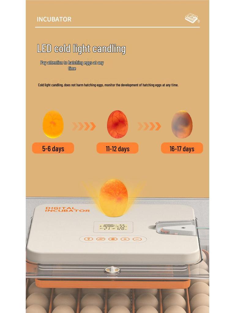 56-Egg Automatic Incubator with Precise Humidity Control, Adjustable Egg Turning, and Countdown Timer for Home Use