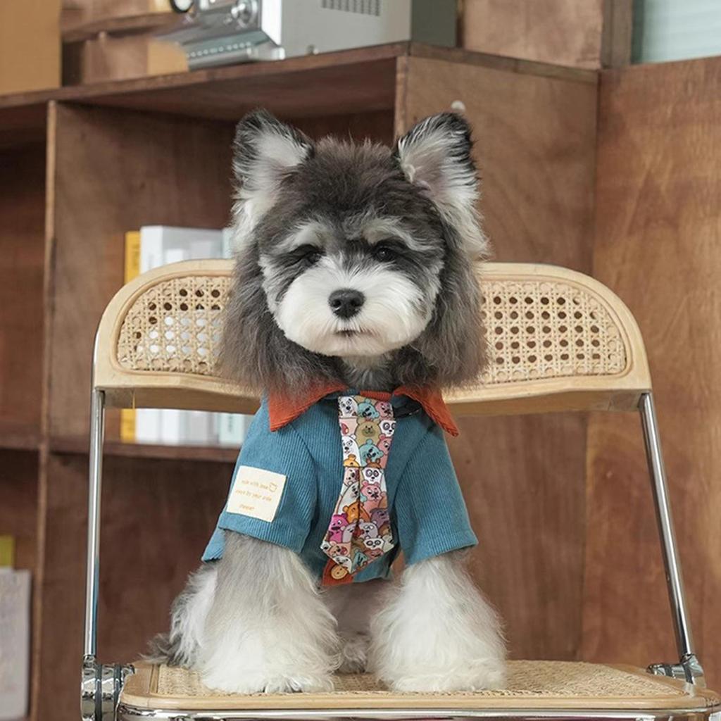 Dog Shirt Autumn Winter Outfit for Small Medium Large Dogs Comfort Dress up Easy to Wear Pet Costume