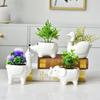 Creative Cartoon Alpaca Swan Ceramic Flowerpot Nordic Plant Pot Succulent Flowerpot Animal Shaped Pots Home Decoration Ornaments