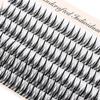 Lashie - Doll Eye Volume Cluster False Eyelashes