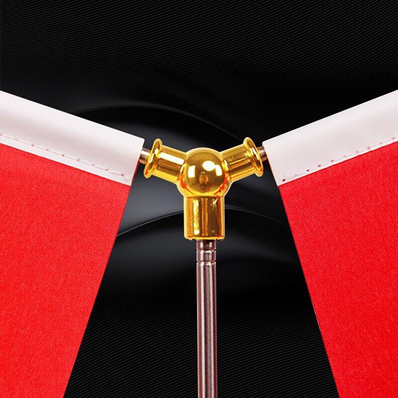 Desk Flag Set with National and Party Flags