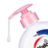 Walch Healthy Antibacterial Hand Soap - Moisturizing (6-Pack)