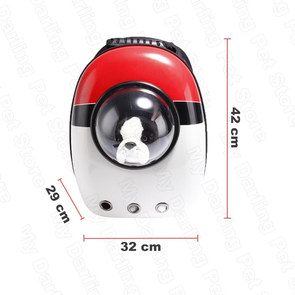 cat carrier with window