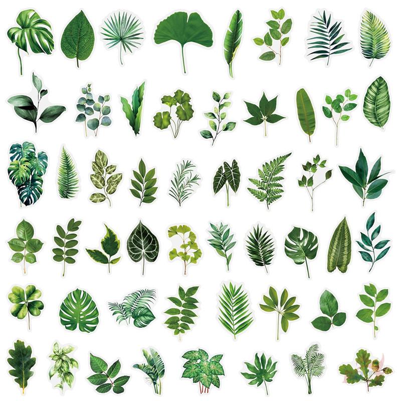 50Pcs/Set Green Leaves PET Stickers Waterproof DIY Fashion Doodle Decals Stickers