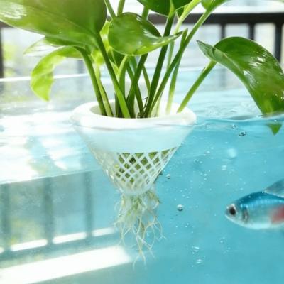 Poissons et animaux marins – Décoration d’aquarium