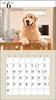 2024 Calendar Cute Golden Retriever (Seibundo Shinkosha Calendar)