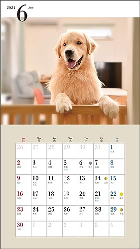 2024 Calendar Cute Golden Retriever (Seibundo Shinkosha Calendar)