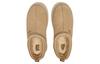 UGG Tazz Slipper Mustard Seed Women's 1122553-MDSD