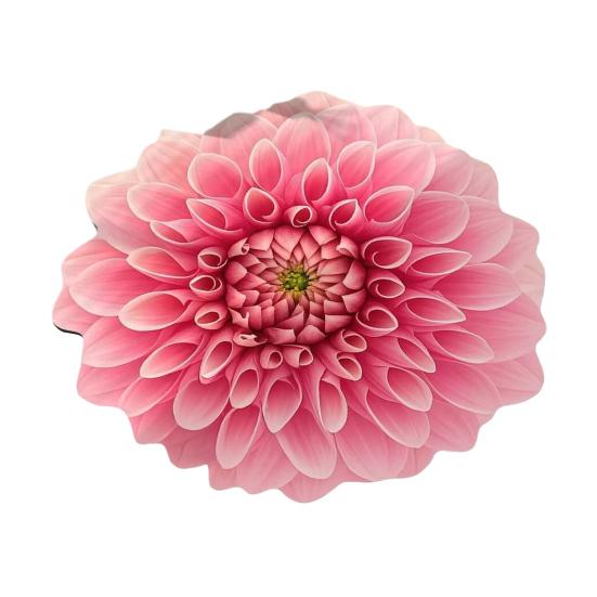 

3D Цветочный Плюшевый Напольный Коврик Моющийся Нескользящий Ковер Абсорбирующий Быстросохнущий Ковер для Украшения Гостиной Спальни Ванной Комнаты Кухни 60cm F