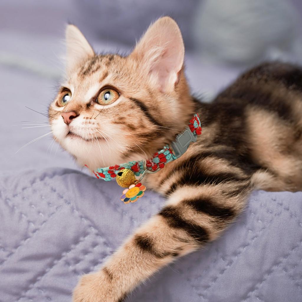 Bunter Spitzblumenkragen mit Glöckchen und Hundehalsband