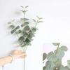 Home Decoration Supplies Simulation Green Plant Money Eucalyptus Leaves Flower Arrangement Home Decorations Wedding Leaves