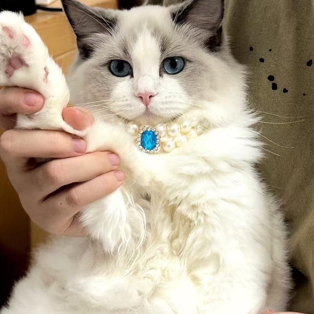 1 Pc Cat Pearl Necklace Cats & Dogs Fashionable Retro Cute Pendant Teddy Ragdoll Daily Wear Photo Shoots Decoration.