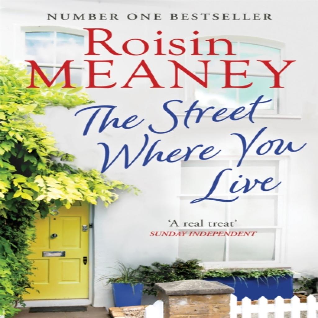 The Street Where You Live by Roisin Meaney Paperback Book 9781473642997