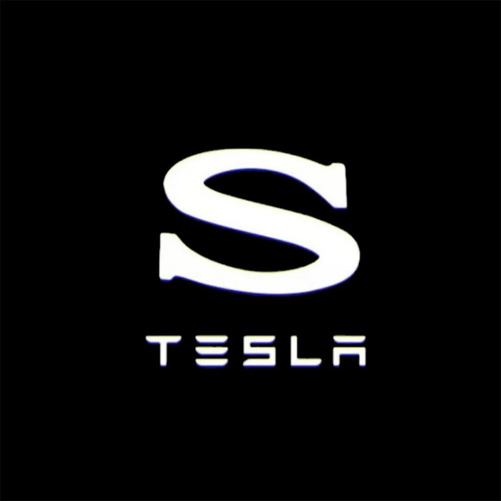 Car Sticker Tesla 2/4PSC Tesla Welcome Light for Tesla Model Y 3 S X Car Door LED Projector puddle lights Ultra-Bright Welcome L