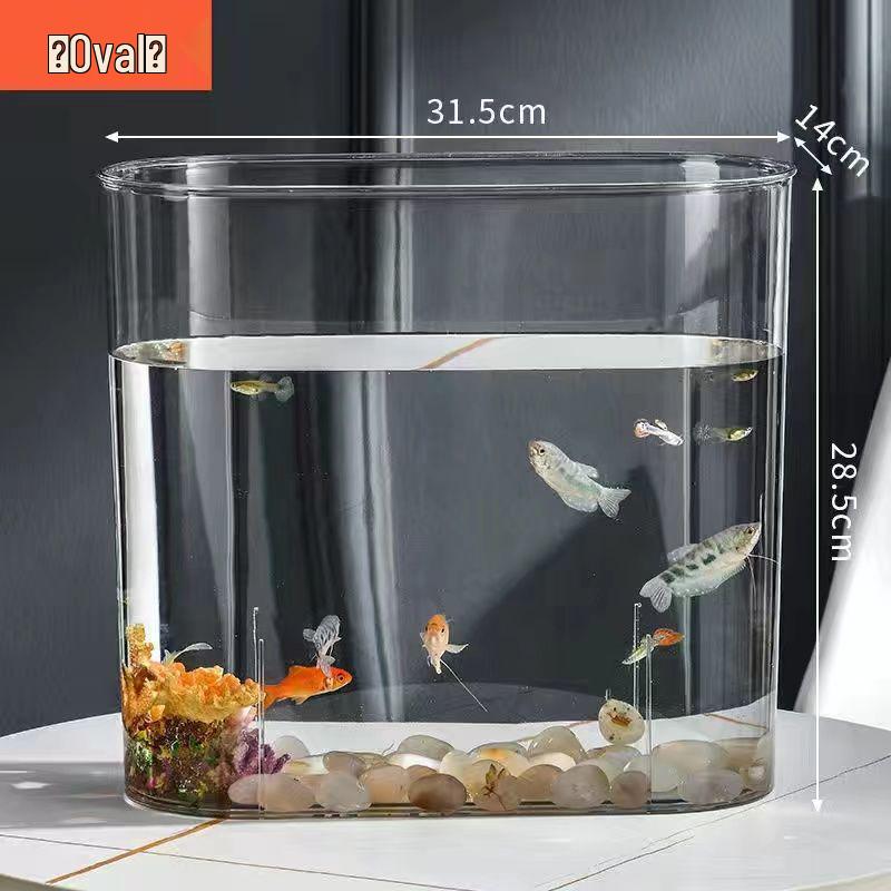 Acrylic Transparent Fish & Flower Arrangement Tank