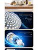 5070 Softbox Lighting Kit for Photography & Video Broadcasting: Indoor Portrait & Clothing Shooting