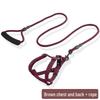 Adjustable Dog Leash and Collar Set for Small, Medium, and Large Dogs - Ideal for Walking Pets like Teddy and Golden Retriever
