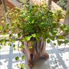 Home Decoration Imitation Wood Flowerpot Cement Pile Log Planter  for Herbs Strawberries